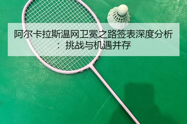 a-er-ka-la-si-wen-wang-wei-mian-zhi-lu-qian-biao-shen-du-fen-xi-tiao-zhan-yu-ji-yu-bing-cun-1-899.jpg