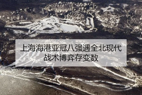 shang-hai-hai-gang-ya-guan-ba-qiang-yu-quan-bei-xian-dai-zhan-shu-bo-yi-cun-bian-shu-2-945.jpg