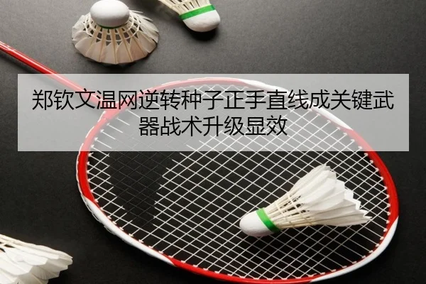 zheng-qin-wen-wen-wang-ni-zhuan-zhong-zi-zheng-shou-zhi-xian-cheng-guan-jian-wu-qi-zhan-shu-sheng-ji-xian-xiao-2-467.jpg