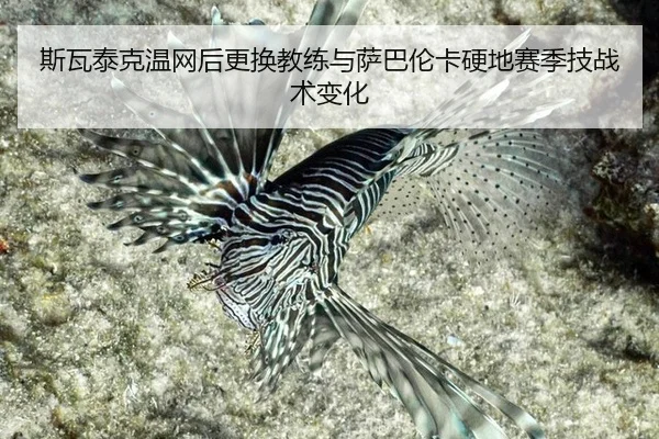 si-wa-tai-ke-wen-wang-hou-geng-huan-jiao-lian-yu-sa-ba-lun-ka-ying-di-sai-ji-ji-zhan-shu-bian-hua-1-115.jpg